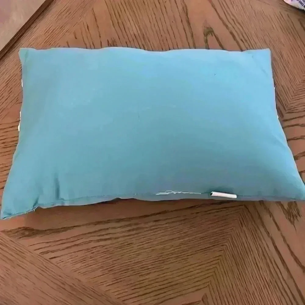 Pier 1 Imports indoor outdoor Lucky Dice Blue Lumbar Pillow 18” by 12”